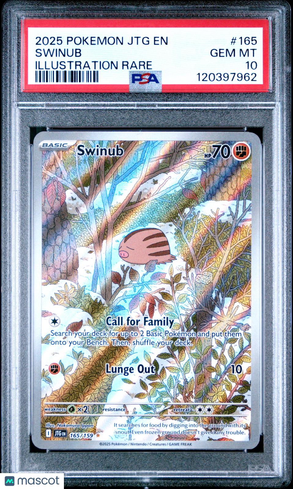 Swinub 2025 Pokemon JTG EN-Journey Together Illustration Rare PSA 10 #165