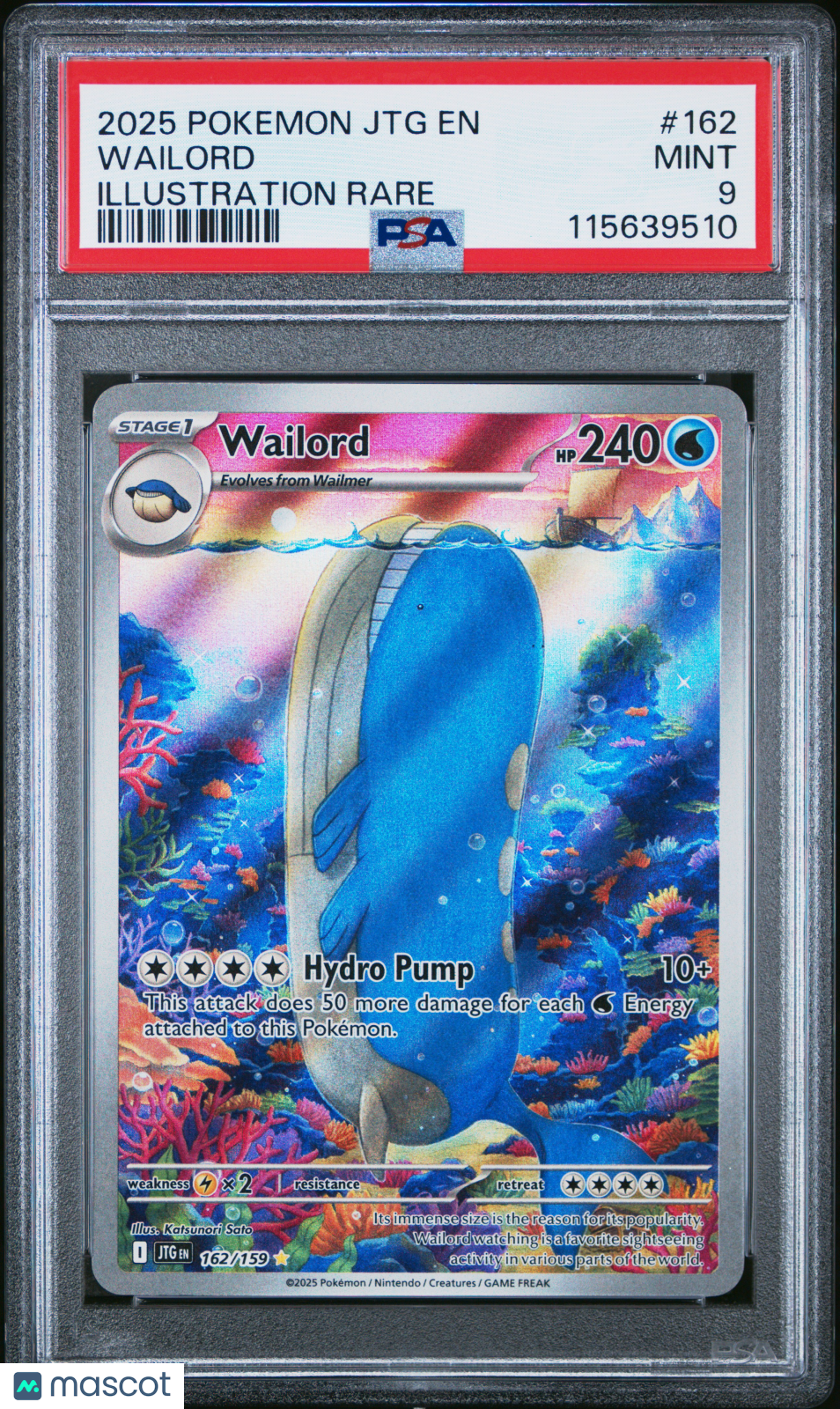 Wailord 2025 Pokemon JTG EN-Journey Together Illustration Rare PSA 9 #162