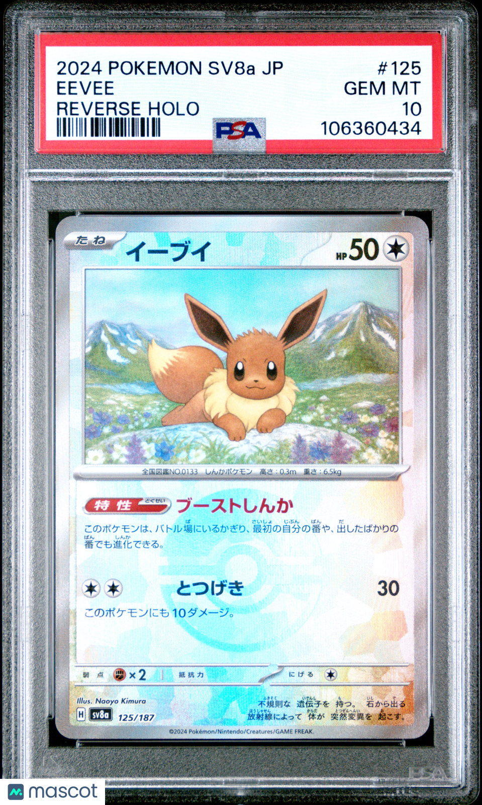 Eevee 2024 Pokemon Sv8a-Terastal Fest  Japanese Reverse Holo PSA 10 #125