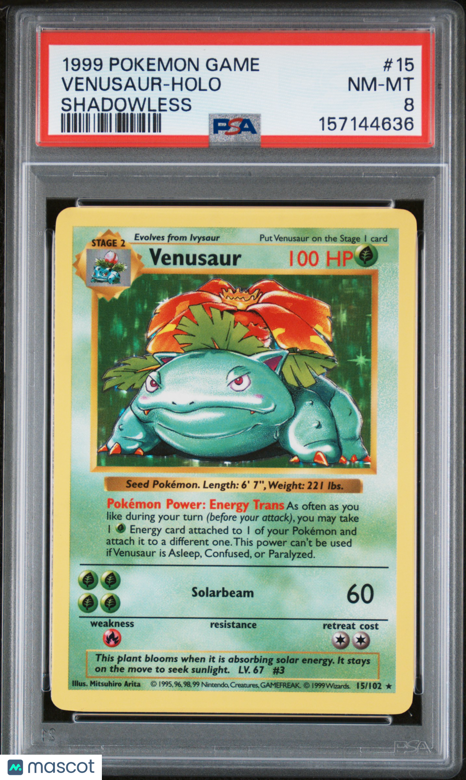 Venusaur 1999 Pokemon Game Holo Shadowless PSA 8 #15