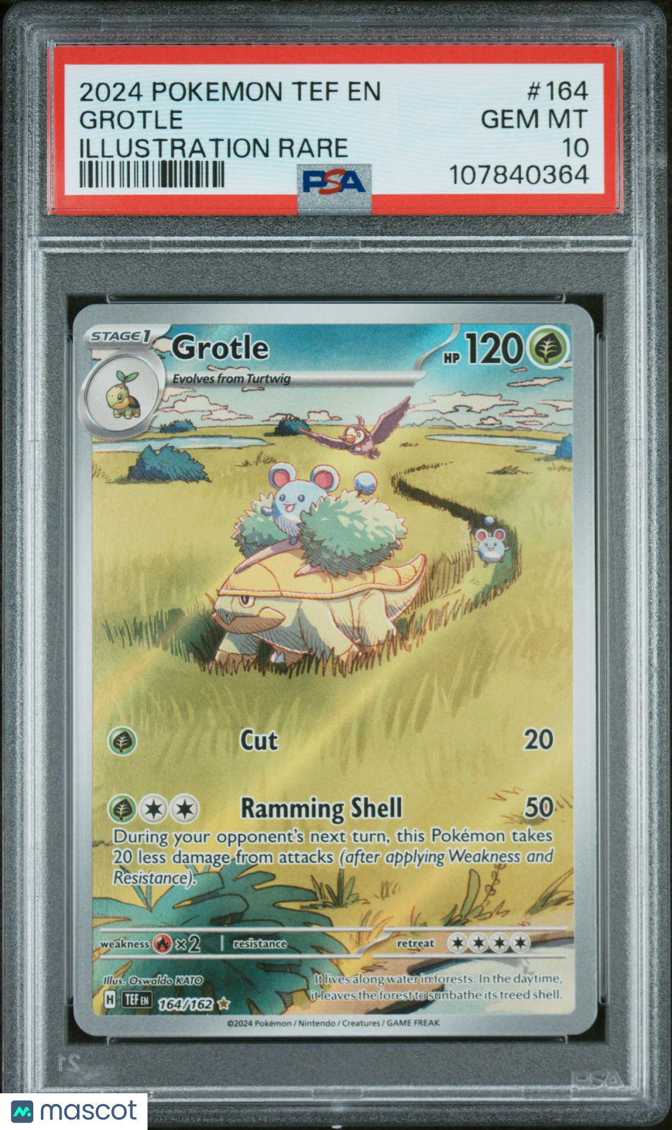 Grotle 2024 Pokemon Temporal Forces Illustration Rare PSA 10 #164